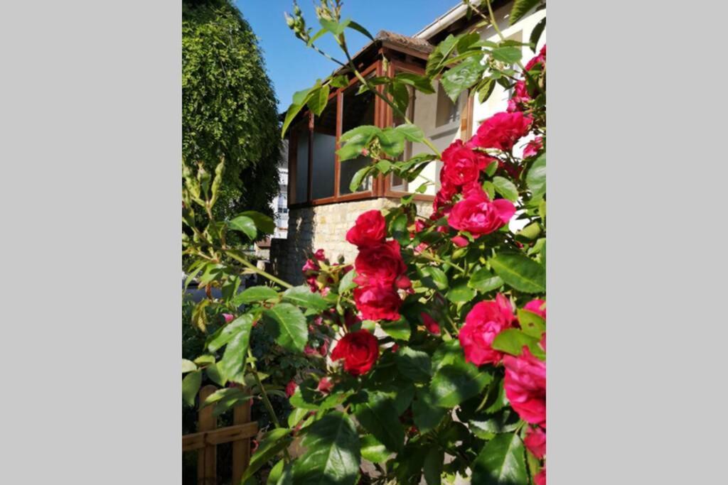La Roseliere Maison Plain Pied Confortable Belle Decoration Jardin Magnifique 10 Mn A Pied Centre Ville Bayeux Proche Plages Du Debarquement Exteriér fotografie