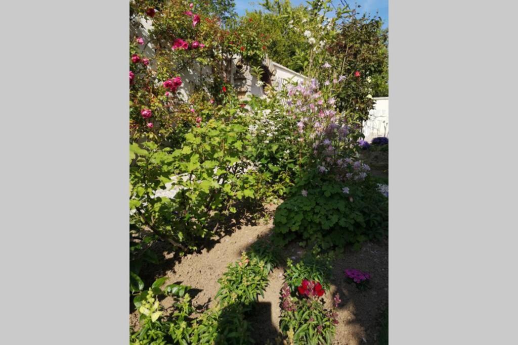 La Roseliere Maison Plain Pied Confortable Belle Decoration Jardin Magnifique 10 Mn A Pied Centre Ville Bayeux Proche Plages Du Debarquement Exteriér fotografie